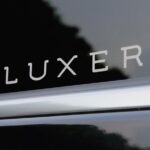 Transfer from Fusina Cruise Terminal to Venice - The Vehicles and Comfort Features