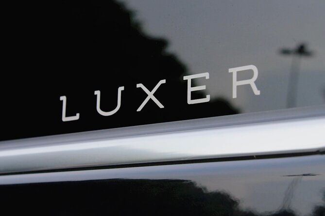 Transfer from Fusina Cruise Terminal to Venice - The Vehicles and Comfort Features