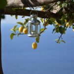 Transfer from Naples to Amalfi or Atrani or Vice Versa - From Naples Airport or Railway Station to the Coast