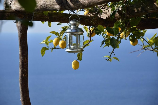 Transfer from Naples to Amalfi or Atrani or Vice Versa - From Naples Airport or Railway Station to the Coast