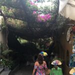 Transfer from Rome to Amalfi coast/Sorrento Area and Vice Versa - Stops for Food and Restroom Breaks During the Ride