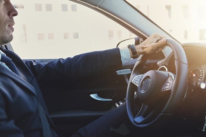 Transfer: Peretola Airport (FLR) to Florence City Center - Spacious Vehicles Designed for Comfort