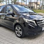 Transfer Rovinj - Venice - The Driver’s Reliability and Professionalism