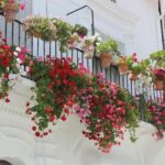 Transfer to Malaga from Seville - From Seville Hotels to Malaga: Ensuring a Stress-Free Ride