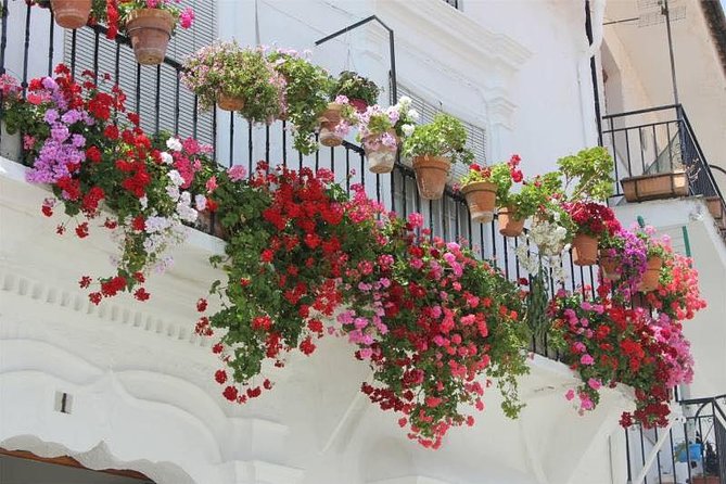 Transfer to Malaga from Seville - From Seville Hotels to Malaga: Ensuring a Stress-Free Ride