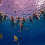Transparent Boat Tour in Cozumel: See Marine Life Up Close - The Magic of the Fully Transparent Boat