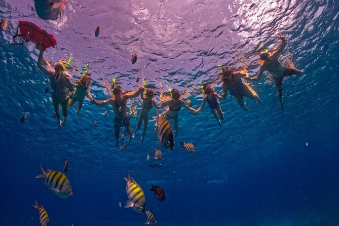 Transparent Boat Tour in Cozumel: See Marine Life Up Close - The Magic of the Fully Transparent Boat