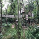 Tree Top Adventure in Rueil-Malmaison - The Variety of Courses and Challenges