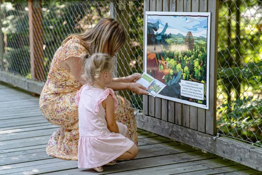 Treetop Walk Bavarian Forest: Discover the world of treetops - Exploring the Treetop Walk Bavarian Forest