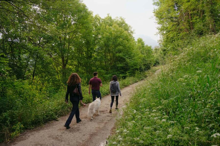 Trentino Agriconda: AgriBreak: an authentic snack surrounded by nature - Exploring the Farm’s Scenic Location in Trentino