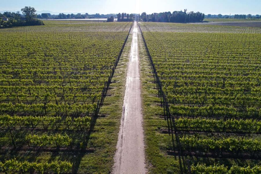 Treviso neighborhood: Tenute Tomasella/Wine Experience - The Winery’s Location and Historic Setting