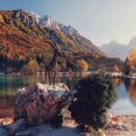 Triglav National Park and the Alps Private tour - The Unique Charm of Zelenci Nature Reserve