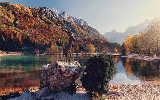 Triglav National Park and the Alps Private tour - The Unique Charm of Zelenci Nature Reserve
