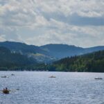 Trip from Zurich to Germany's Black Forest & Swiss Rhine Falls - Rhine Falls: Switzerland’s Majestic Cascade