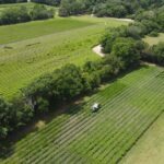 Trolley Tour in Wadmalaw Island of South Carolina - Why This Tour Stands Out