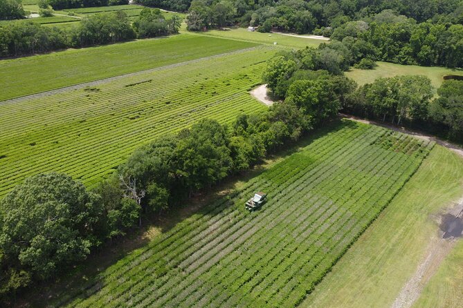 Trolley Tour in Wadmalaw Island of South Carolina - Why This Tour Stands Out