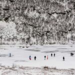 Tromsø: Arctic Landscape and Fjord Tour with Snacks - The Route and Scenic Stops in Detail