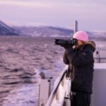 Tromsø: Arctic Sightseeing Cruise by catamaran - Scenic Route Options: North or South Fjords