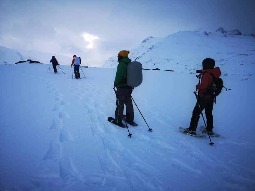 Tromsø: Arctic Snowshoeing Experience - Starting Point at Magic Ice Bar in Tromsø