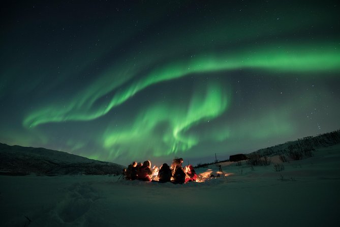 Tromsø: Aurora Hunt with Citizen Science with Wandering Owl - Cozy Campfire and Homemade Soup in the Arctic Night