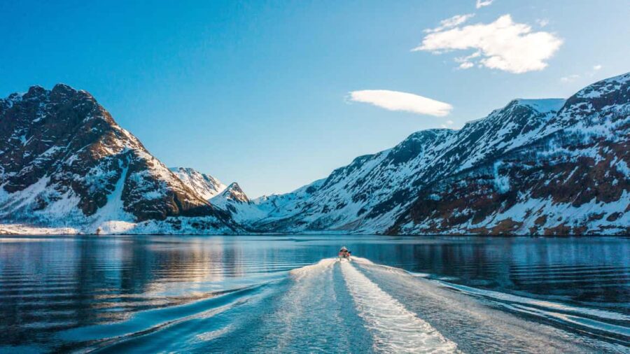 Tromsø Catamaran Whale Watching - Inside the Cozy, Well-Equipped Catamaran