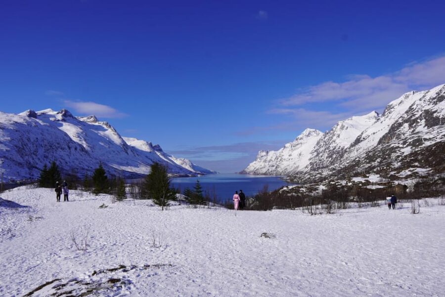 Tromsø: Exclusive Fjord Adventure by Bus - Exploring Ersfjord and Grøtfjord