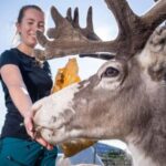Tromsø: Exclusive Northern Lights Minibus & Reindeer Tour - Starting Point at the Full Steam Museum in Tromsø