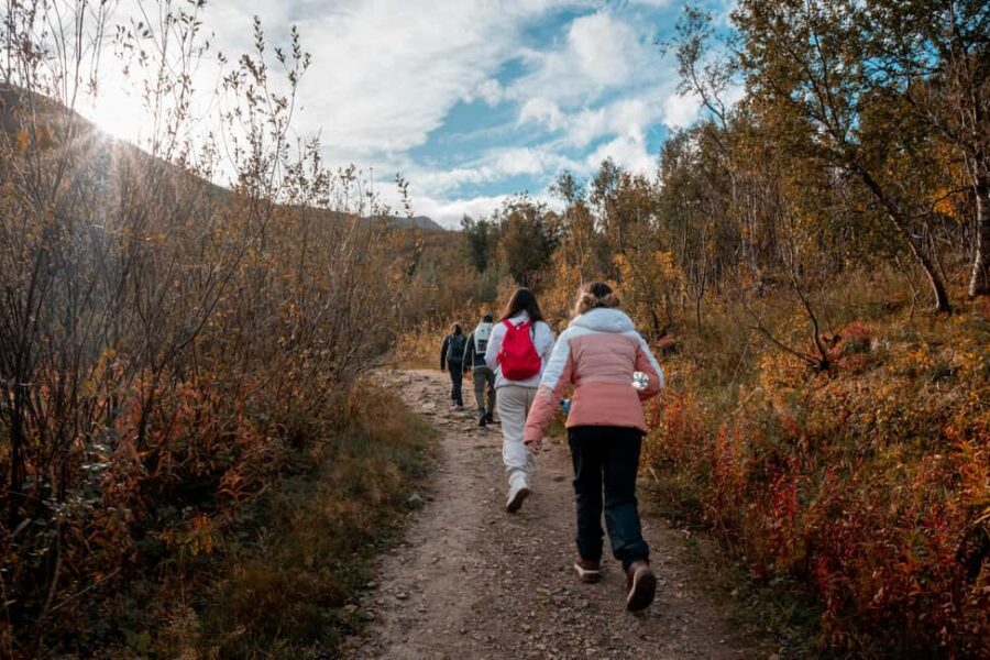 Tromsø: Guided Hike to Mount Fløya with Stunning Views - What Youll Discover on the Mount Fløya Hike