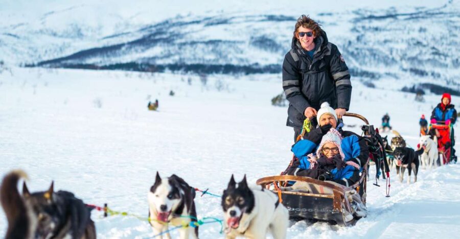 Tromsø: Guided Husky Sledding with Traditional Lunch - The Sledding Experience and Scenic Views