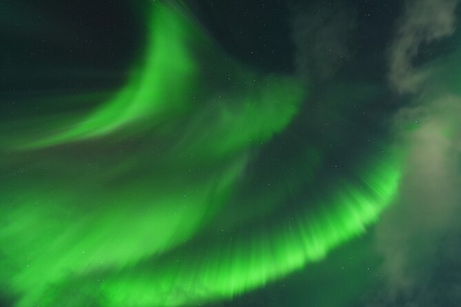Tromsø: Northern Light tour with free complimentary photos. - Warm Clothing and Practical Tips