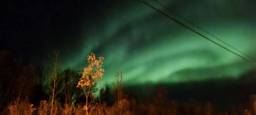 Tromsø: Northern Lights Tour with Photos & Snacks - Convenient Pickup and Location in Tromsø