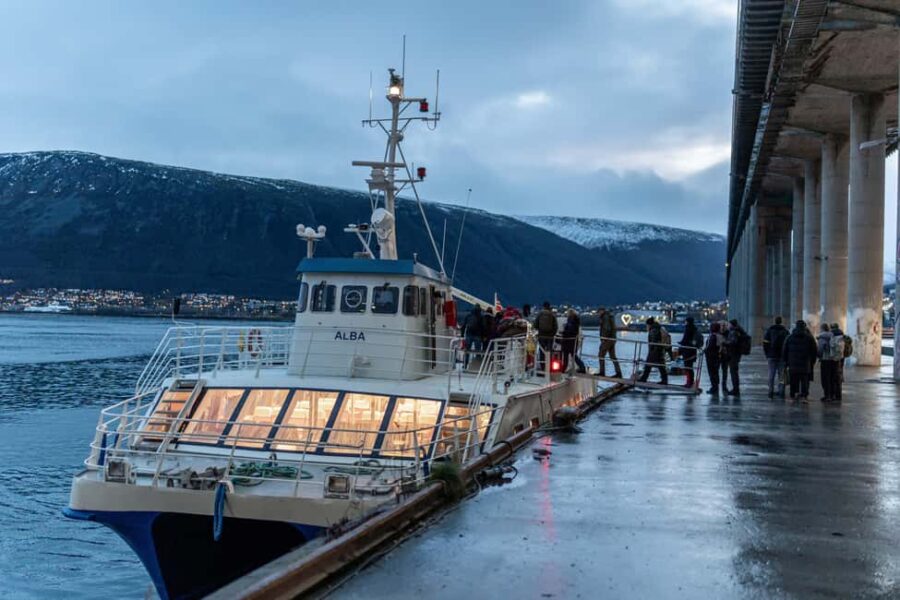 Tromsø: Responsible Whale Watching Cruise Aboard MS Alba - Expert Wildlife Guides Share Knowledge on Arctic Marine Life