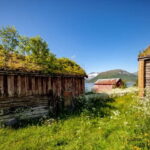 Tromsø: Summer Fjord Road Trip with Citizen Science - Wildlife Spotting in the Arctic Wilderness