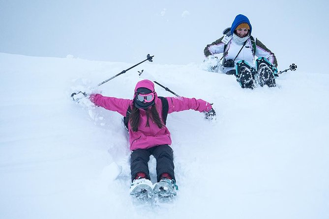 Tromsø: Winter Snowshoeing with Wandering Owl - Snowshoeing Across Fjords and Mountain Slopes