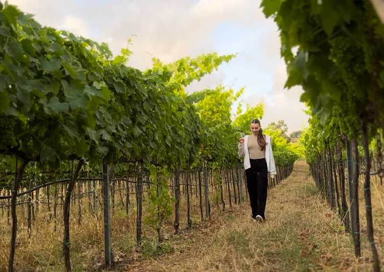 Tropea: Wine and Food Tasting - Visiting a Picturesque Organic Vineyard with Sea Views