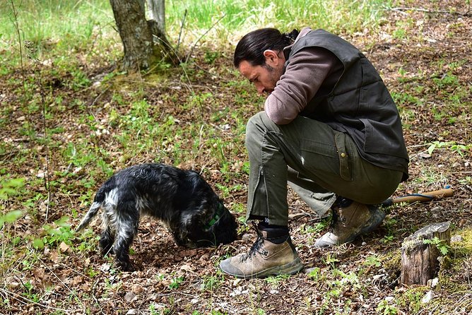 Truffle Hunt & Bio Lunch in Assisi - How the Truffle Hunt Unfolds in Assisis Countryside