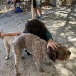 Truffle Hunting, Culinary & Wine Celebration from Heraklion - The Heart of the Day: Truffle Hunt at the 1882 Cretan Mansion