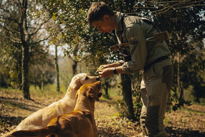 Truffle hunting for Nature Enthusiasts - The Unique Experience of Truffle Hunting in Istria