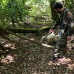 Truffle Hunting in San Miniato in Tuscany with Tasting - The Unique Role of Dogs in Truffle Hunting