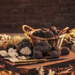 Truffle hunting tour from Rijeka - The Start: Pickup and Transfer from Rijeka