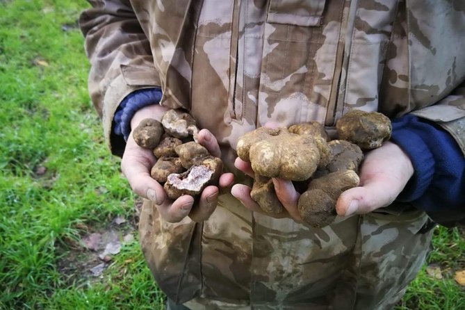 Truffle hunting - Meeting Point and Practical Details in San Gimignano