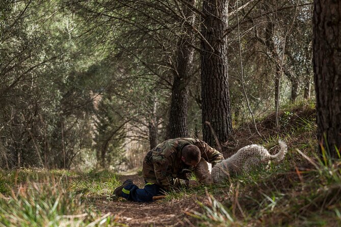 Truffle Lunch & Hunting Experience in San Gimignano - Meet Your Guides: Mirco and Lucas Expertise and Approach