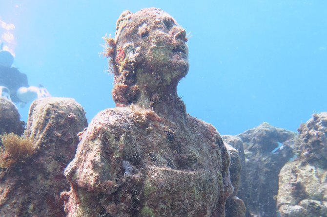 Try Dive in Cancun Underwater Museum - Pre-Dive Training at the Pool: Beginner-Friendly Approach