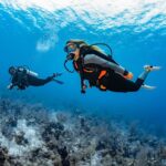 Try Dive - PADI Discover Scuba Diving in Tenerife - Personalized Instruction with a Focus on Safety and Comfort
