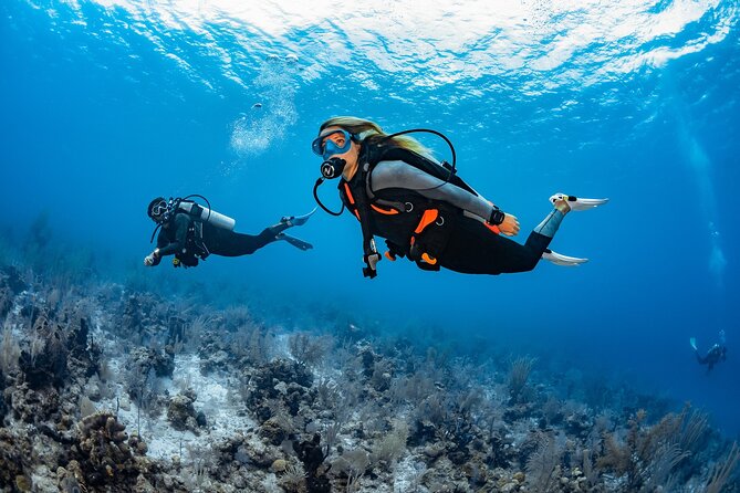 Try Dive - PADI Discover Scuba Diving in Tenerife - Personalized Instruction with a Focus on Safety and Comfort