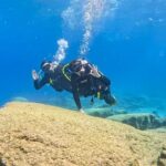 Try Dive - Scuba Diving with a private guide, incl. photos - Logistics of the Tour: Pickup, Timing, and Group Size