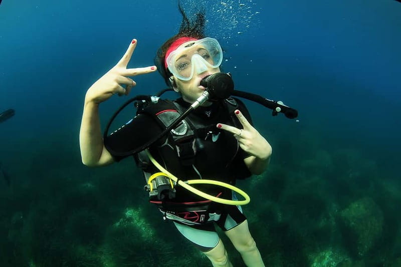Try Scuba Diving and Snorkeling boat trip in Ibiza - Meeting Point and Accessibility in San Antonio