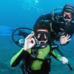 Try Scuba Diving in a turtle area (boat) - Underwater Wildlife Encounters: Fish, Rays, and More