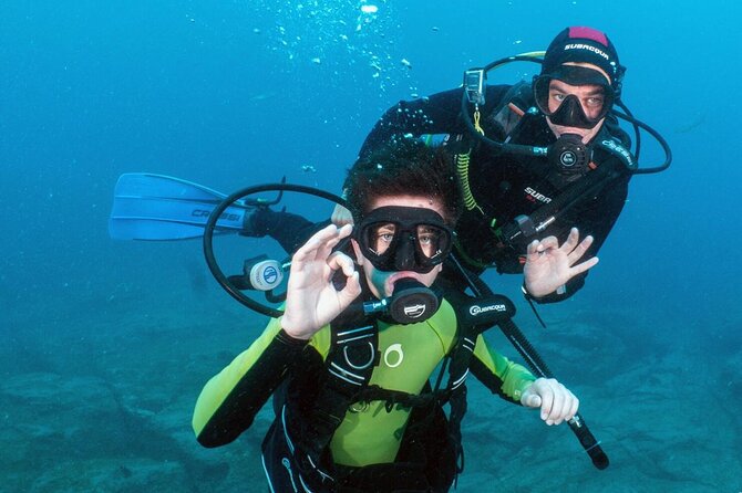 Try Scuba Diving in a turtle area (boat) - Underwater Wildlife Encounters: Fish, Rays, and More