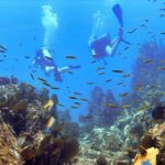 Try Scuba Diving in Kauai: No Experience Needed - Starting Point at Poipu and Transportation Included